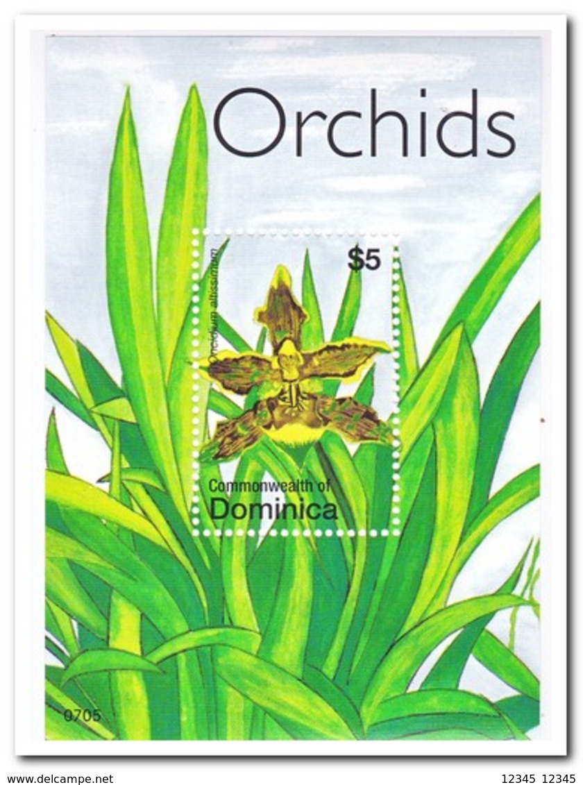 Dominica 2007, Postfris MNH, Flowers, Orchids - Dominica (1978-...)