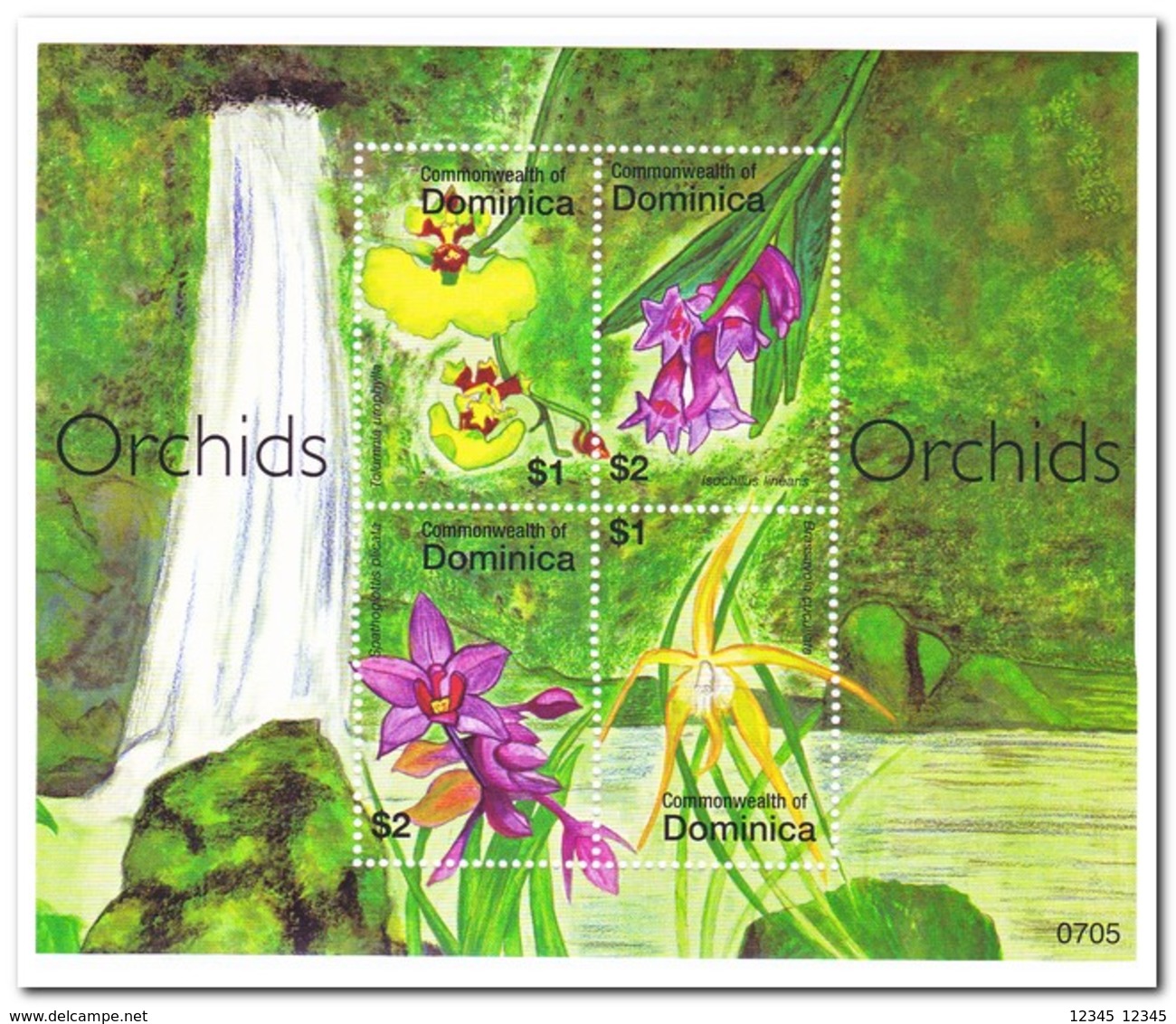 Dominica 2007, Postfris MNH, Flowers, Orchids - Dominica (1978-...)