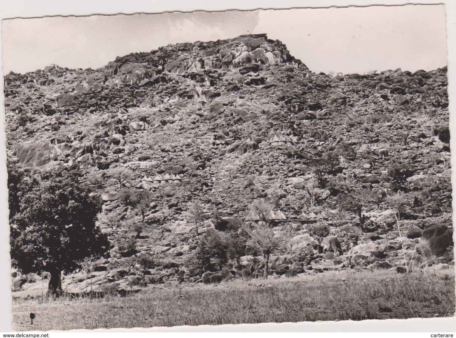 NORD DU CAMEROUN, MOKOLO,sarés Maffa Accrochés à La Montagne,carte Photo Dalverny,afrique,africa - Cameroon