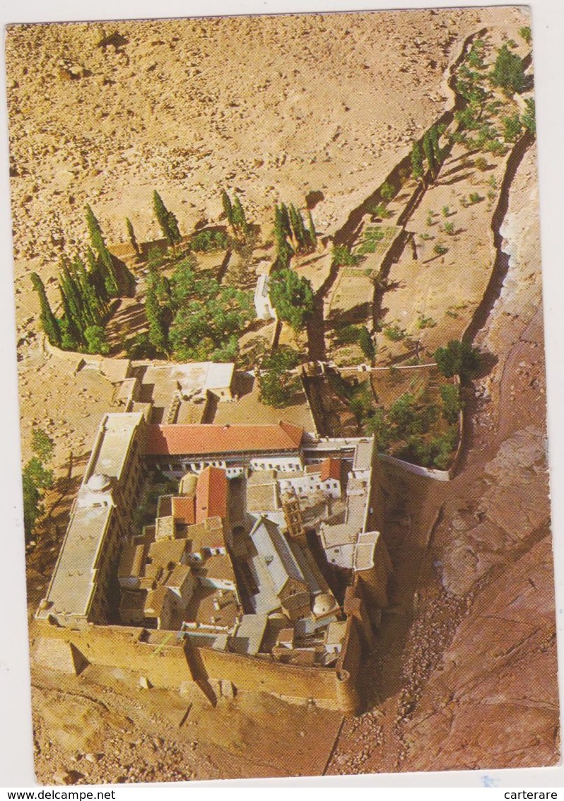 ISRAEL ,judaica,pays Saint,desert Sinai,monastere,saint Catherine,saint Katherine - Israel