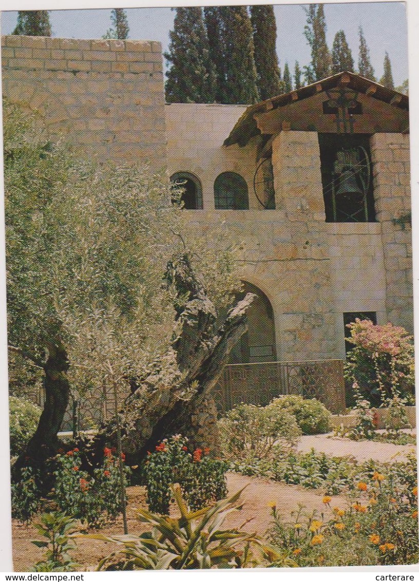 ISRAEL ,JERUSALEM,yéroushalaim,capitale Mondiale Des Religions,jardin,garden,GESTHSEMANE,GETHSEMANIE - Israel