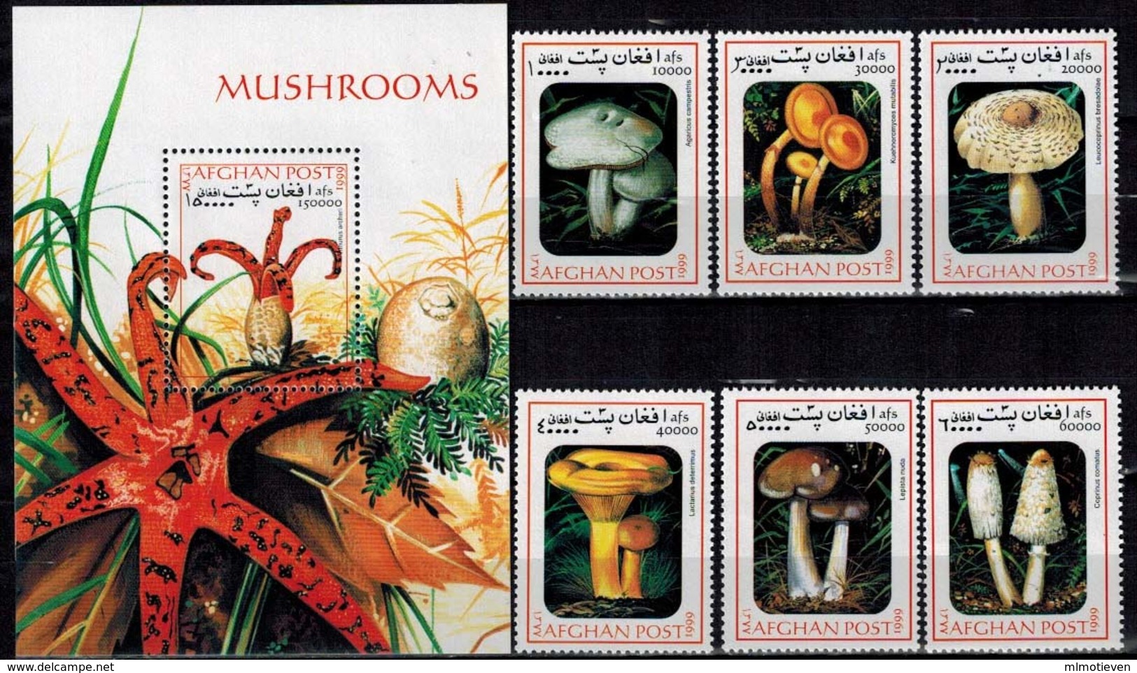 MPP-BK24-194 MINT ¤ AFGHAN POST 1999 KOMPL. SET  ¤ PADDESTOELEN - MUSHROOMS - SETAS - PILZE - FUNGHI - CHAMPIGNONS - Funghi