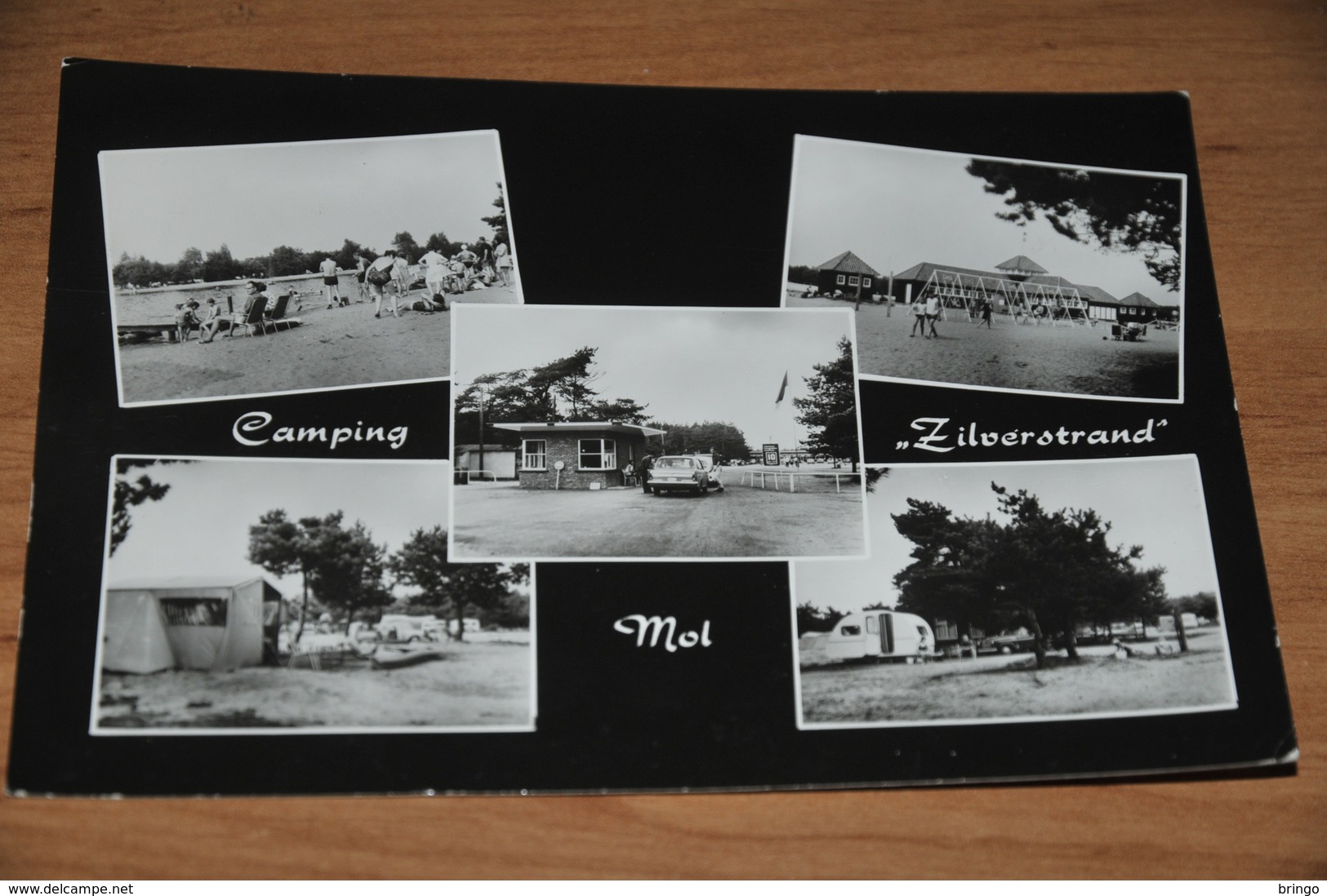 841- Mol Camping Zilverstrand - Mol