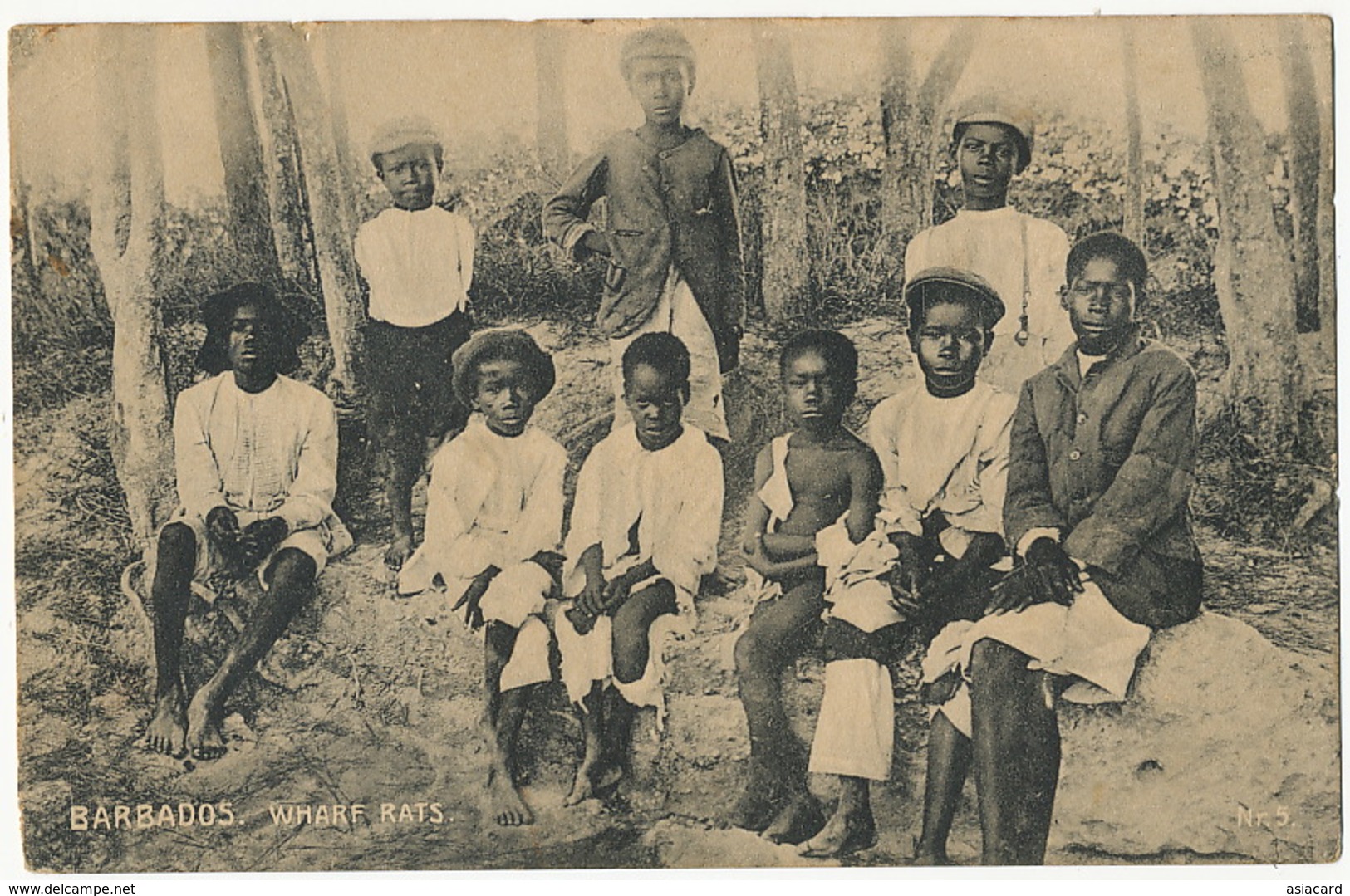 Barbados Wharf Rats . Black Children Racism . Rats Des Quais . Racisme - Barbades