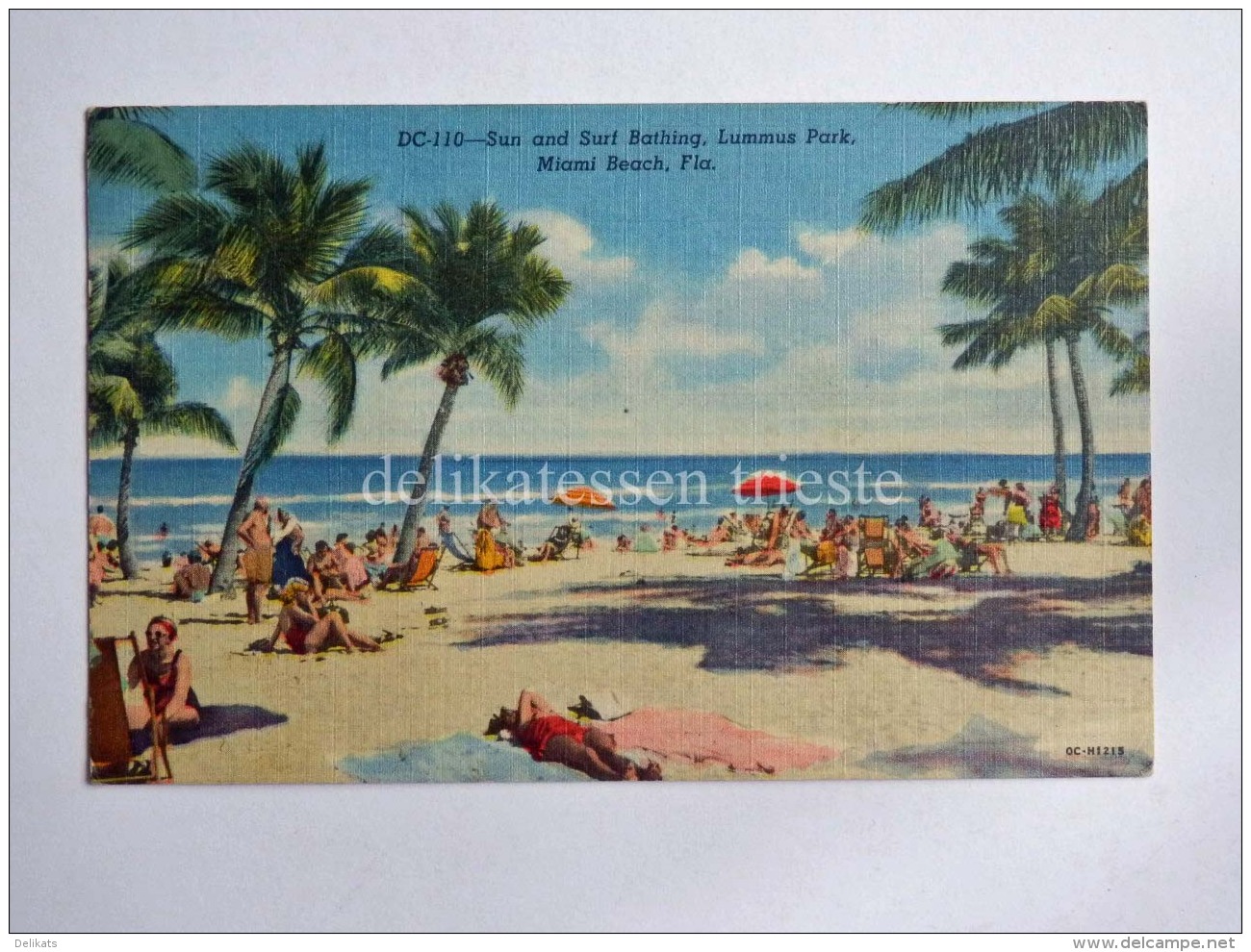 USA MIAMI BEACH Florida Lummus Park  Old Postcard - Miami Beach