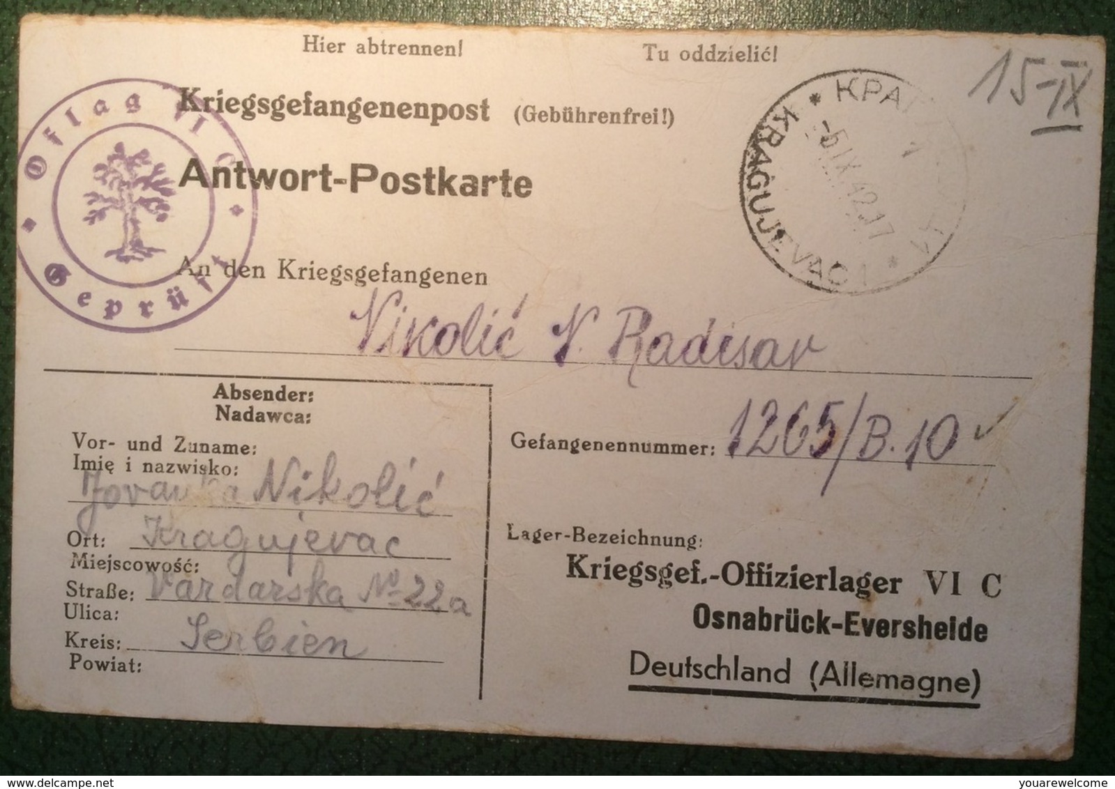 Serbien KRAGUJEVAC 1942 KRIEGSGEFANGENEN POSTKARTE (WW2 Kgf 1939-45 Serbia Brief Cover Lettre POW OFLAG OSNABRÜCK TREES - Besetzungen 1938-45