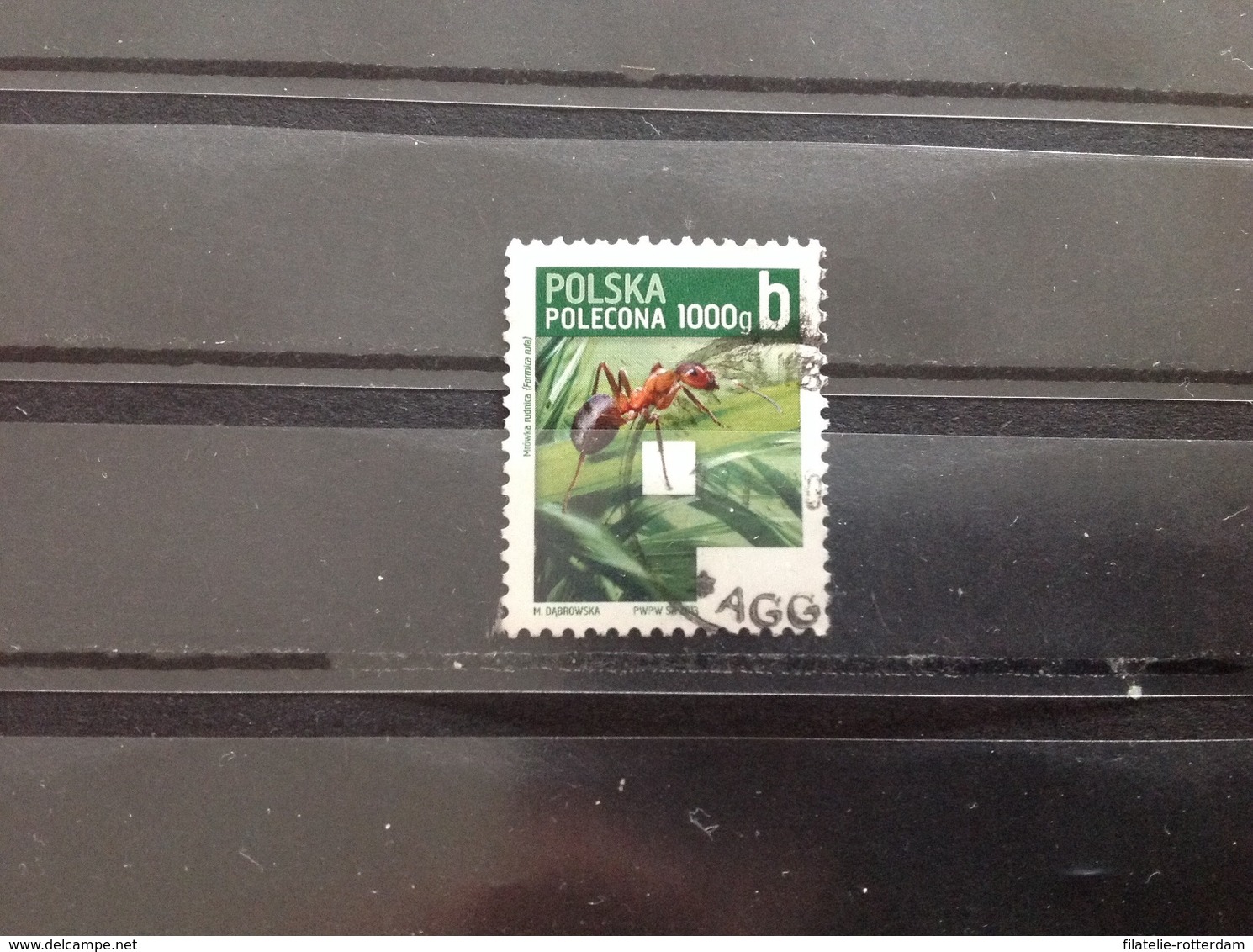 Polen / Poland - Insecten (1000g) (b) 2013 - Used Stamps