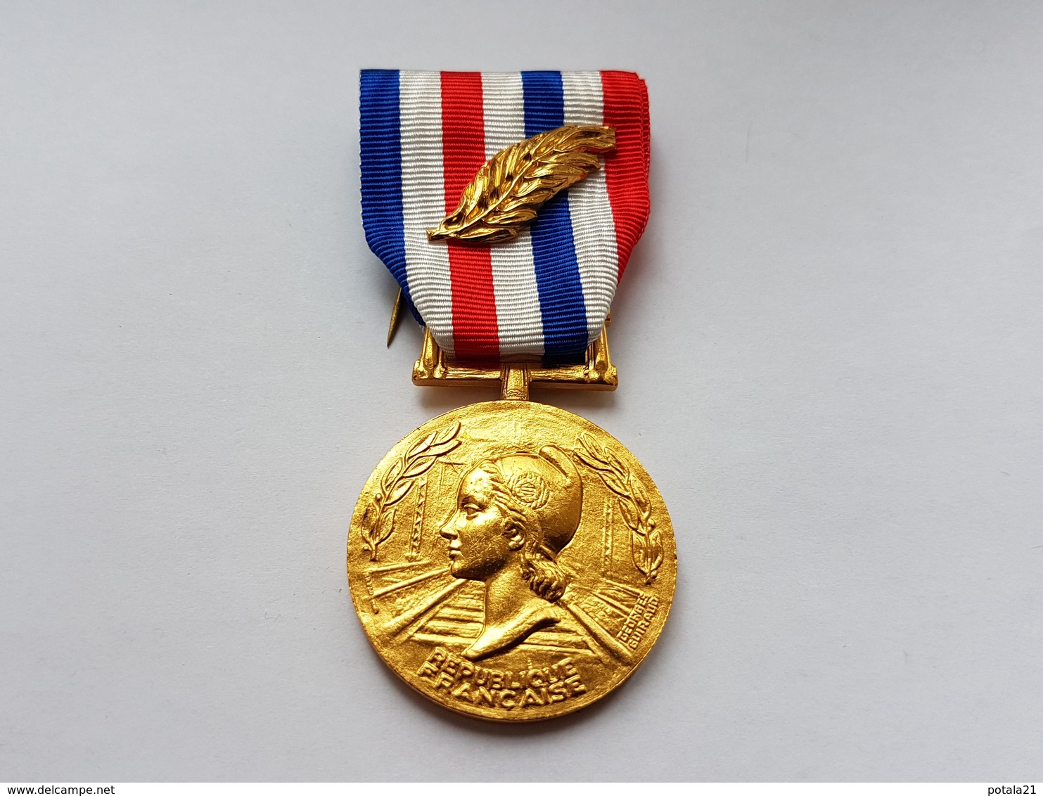 Très Belle Médaille D'honneur Des Chemins De Fer Avec Palme - Francia