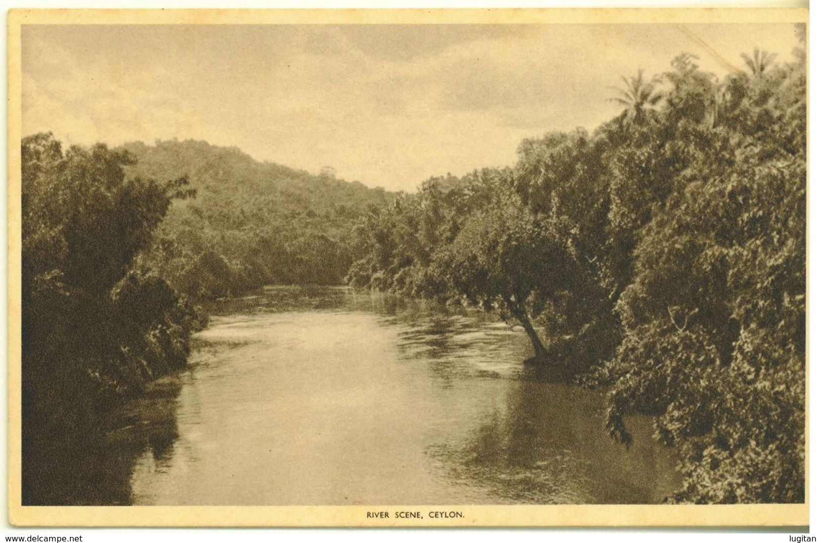 SRI LANKA - CEYLON - CARTOLINA  - SCENE DI FIUME - RIVER SCENE - NON VIAGGIATA - Sri Lanka (Ceylon)