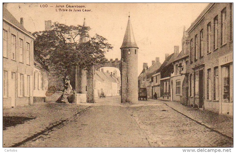 Belgique  LOO  L'Arbre De Jules César - Lo-Reninge