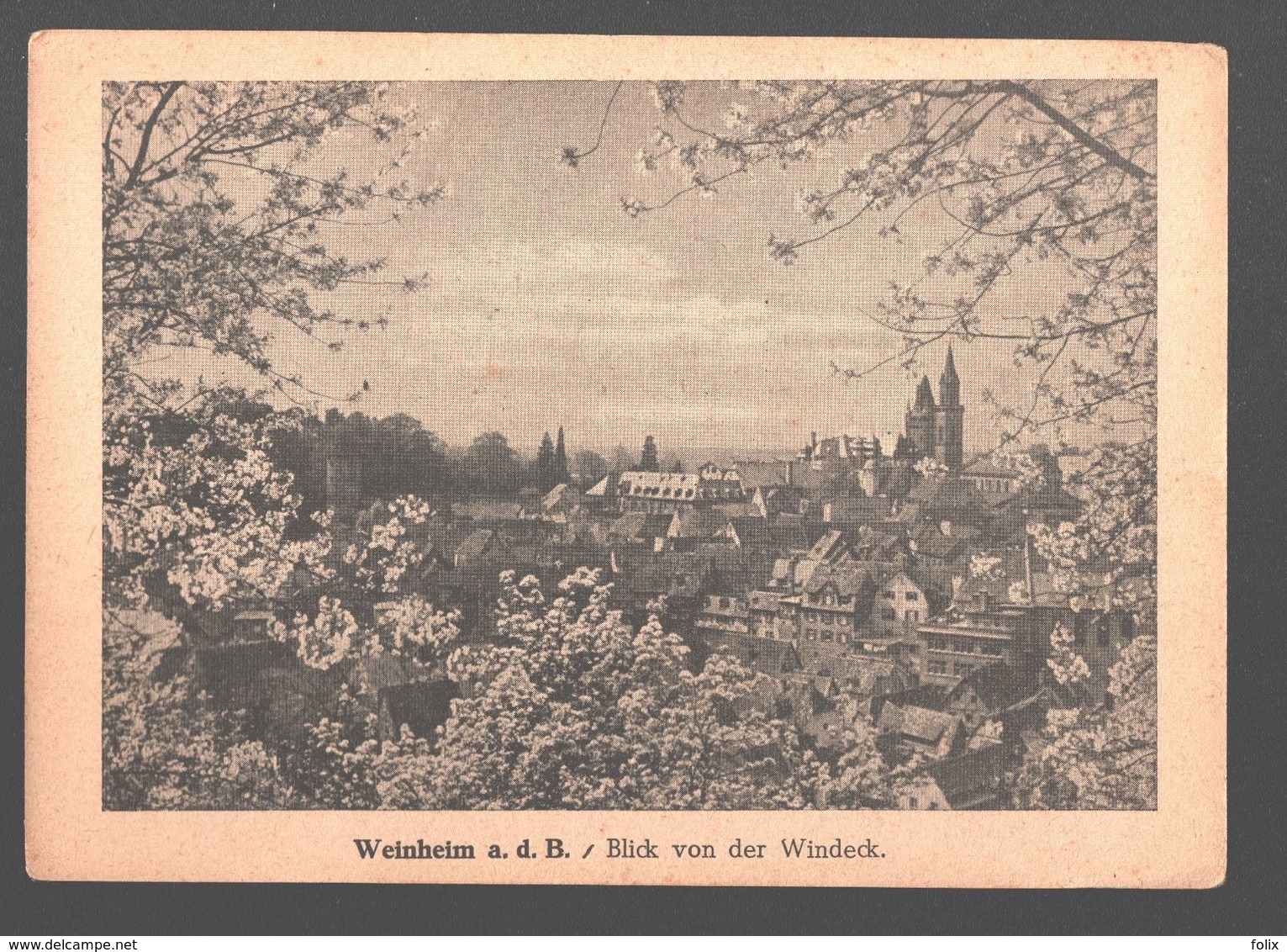 Weinheim / Weinheim An Der Bergstraße - Blick Von Der Windeck - Vorgedruckt 'Feldpostkarte' überdruckt - Weinheim