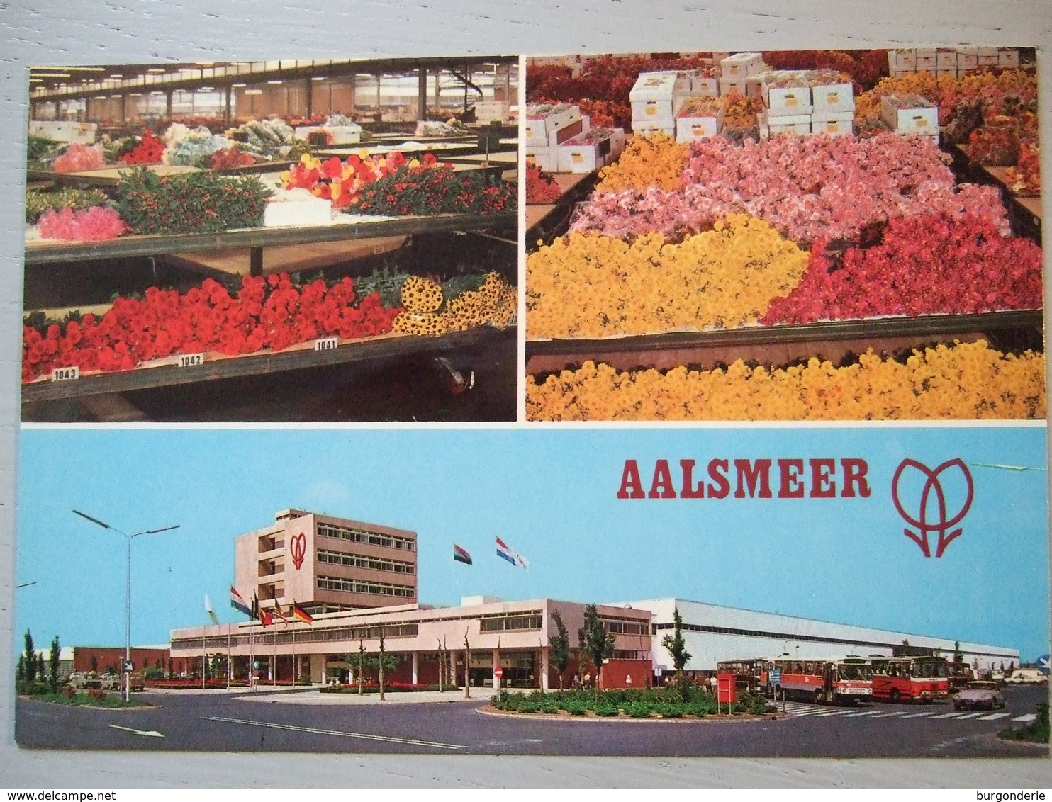 AALSMEER / CUTFLOWER SECTION UNITED FLOWER MARKETS - Aalsmeer