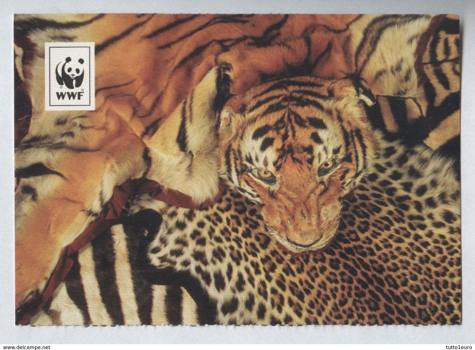 WWF - LA TIGRE - TIGER (3) - Tigri
