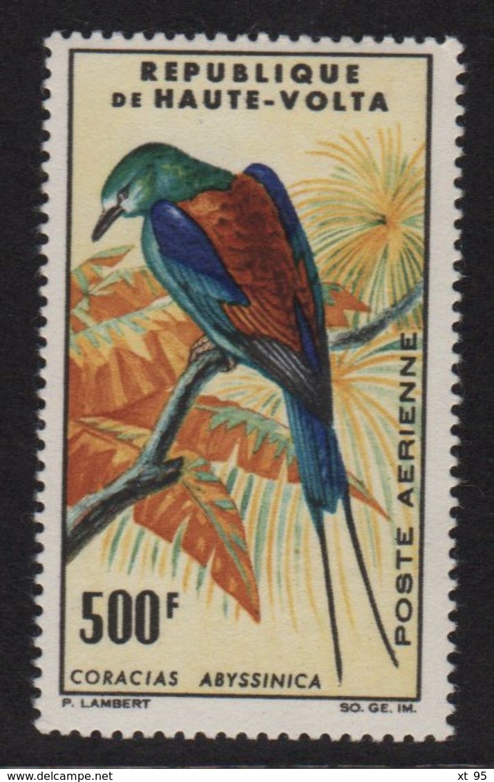 Haute Volta - PA20 - Rollier D Abyssinie - Cote 25€ (leger Defaut De Gomme) - Haute-Volta (1958-1984)