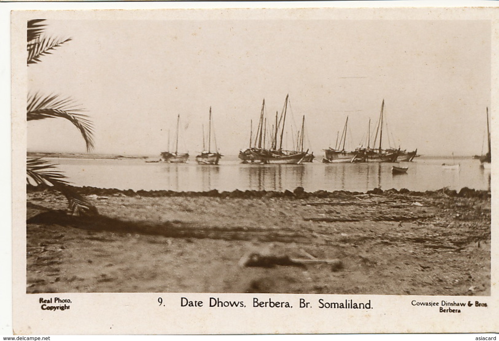 British Somaliland Real Photo Date Dhows Berbera  Cowasjee Dinshaw Berbera - Somalie