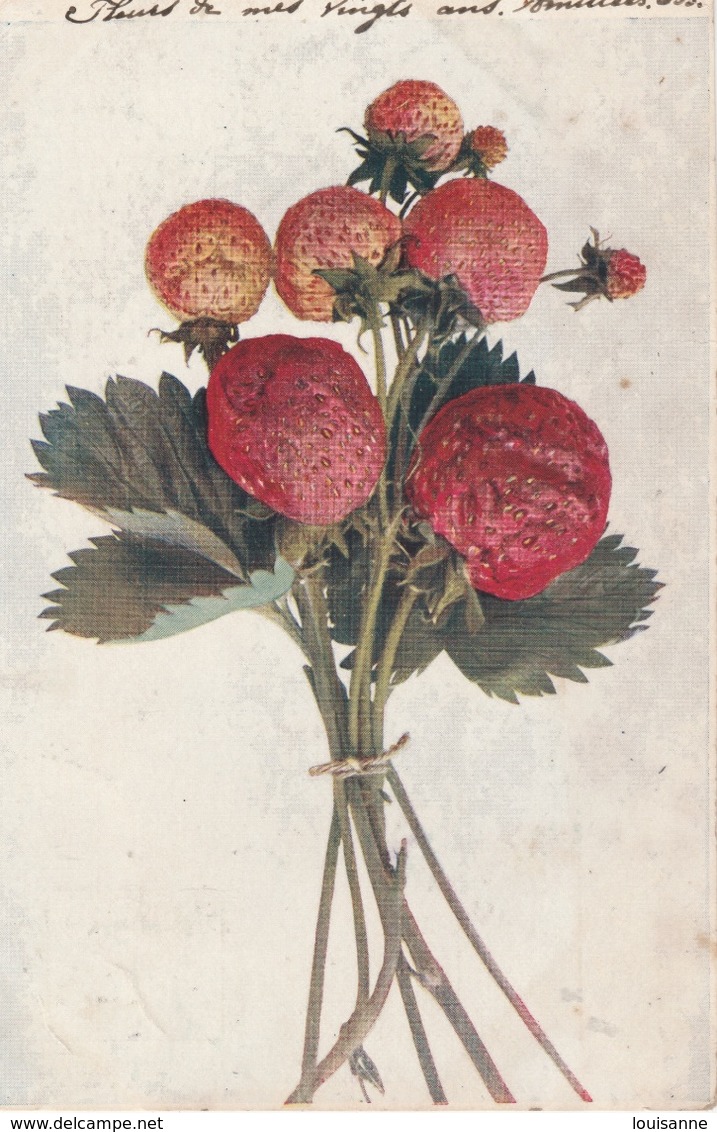 18 / 3  / 559  -  Bouquet  De  Fraises - Geneeskrachtige Planten