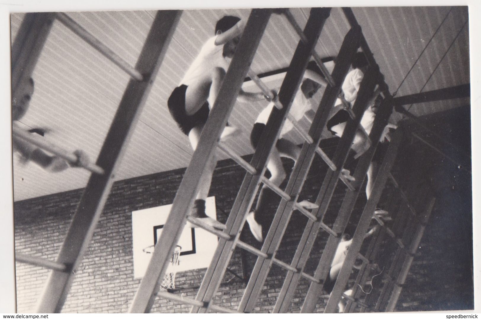 Cinq 5 Photo NEDERLAND Hollande Belgique -ecole Eleve Sport 1960 - Scholl Leerling  Jongen - Sports