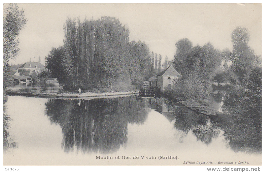 Architecture - Moulins à Eau - Moulin Et Ile De Vivoin - Sarthe - Wassermühlen