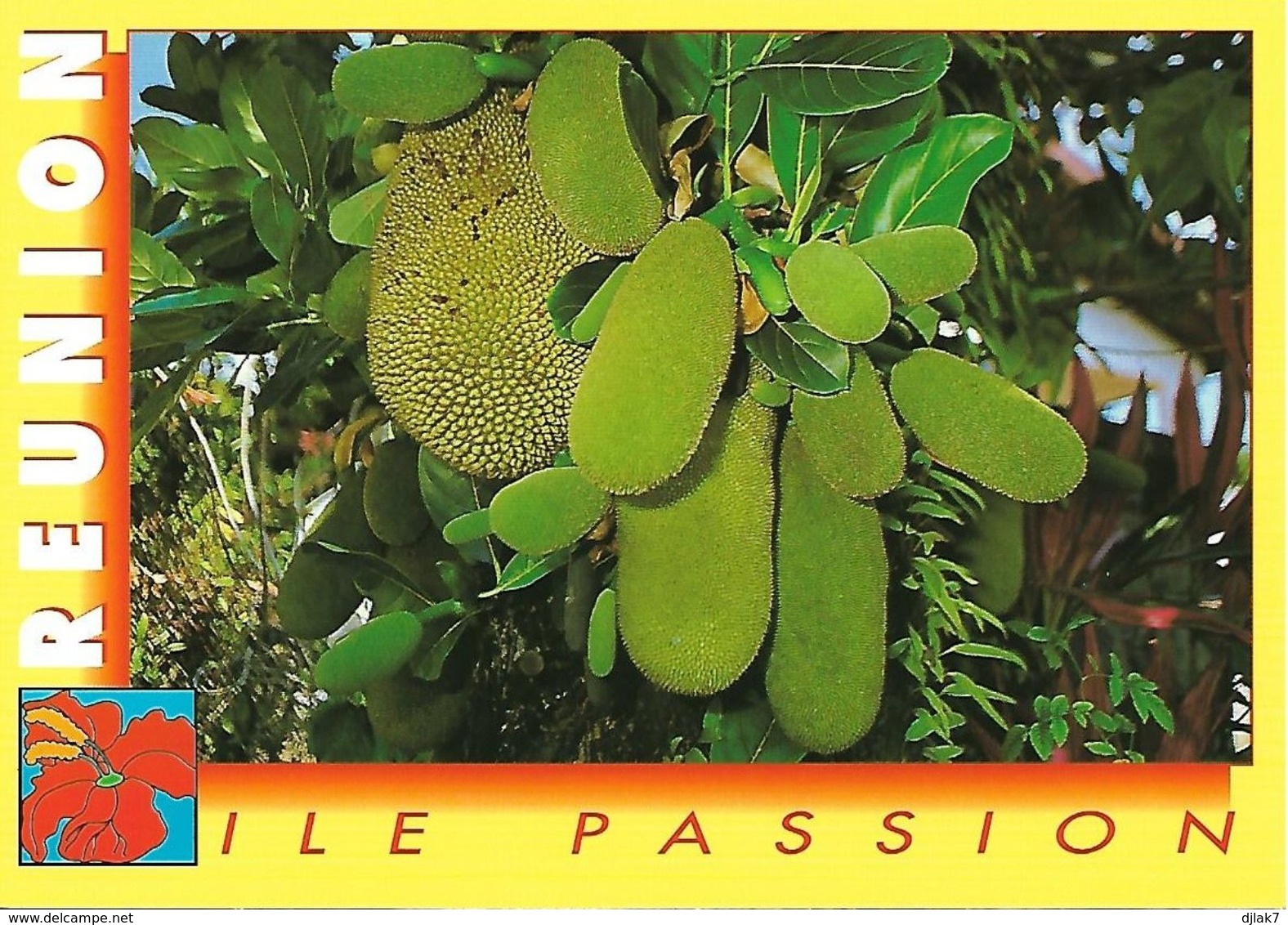 La Réunion Fruits De La Réunion (2 Scans) - Autres & Non Classés