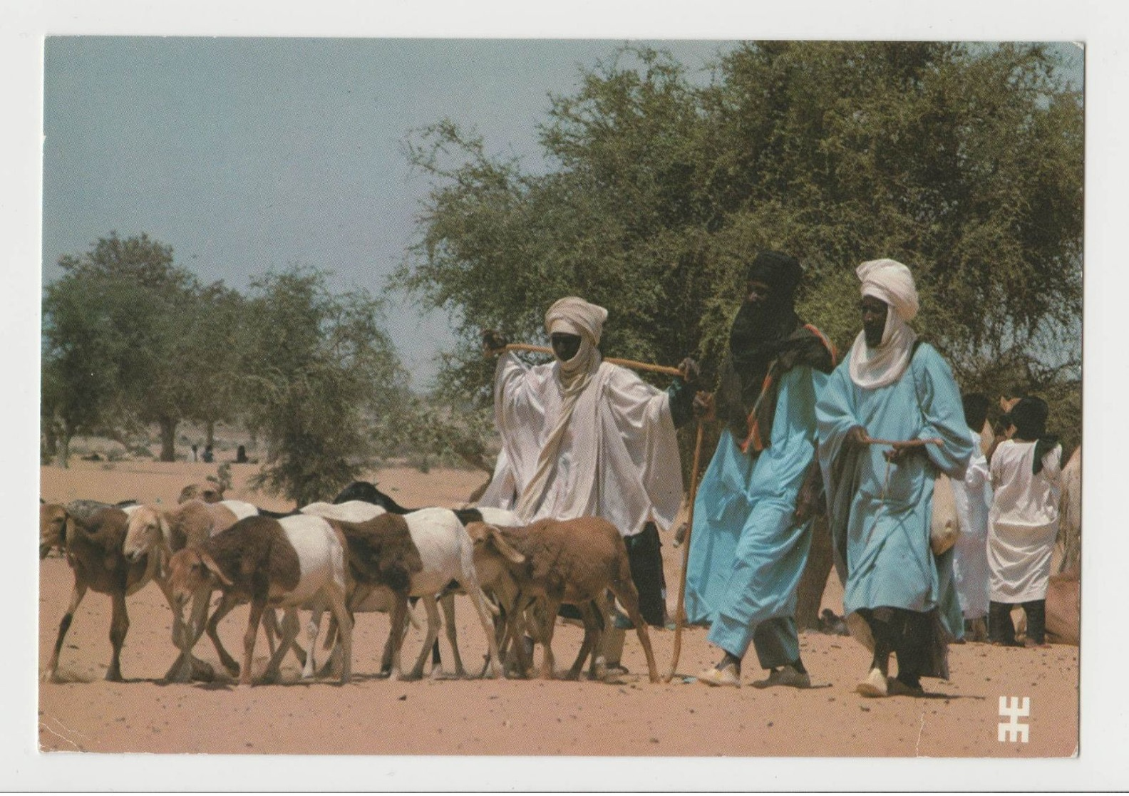 CPM Markoye, Province D'Oudalan - Arrivée De Touareg Sur L'aire Du Marché Au Bétail - Photo Bwaso - Burkina Faso