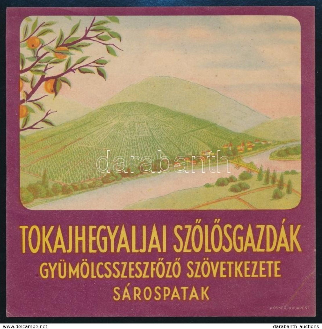 Tokajhegyaljai Sz?l?sgazdák Gyümölcsszeszf?z? Szövetkezete Sárospatak Címke, Tokaj Látképével, 14x14 Cm - Werbung