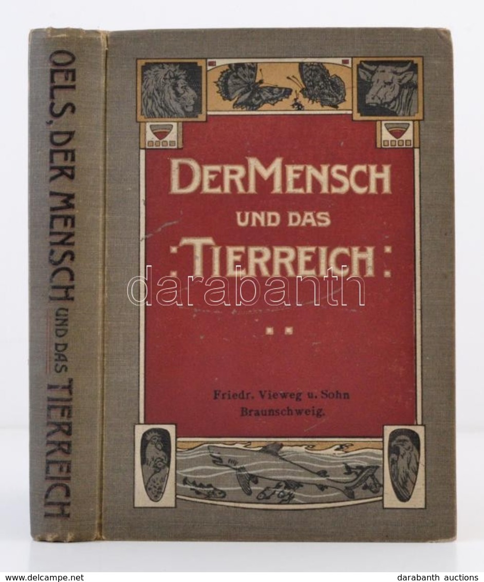 Dr. W. Oels: Der Mensch Und Das Tierreich. Eine Naturkunde Für Schule Und Haus. Druck Und Verlag Von Friedrich Vieweg Un - Ohne Zuordnung