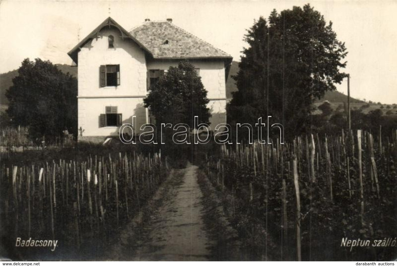 T2 1929 Badacsony, Neptun Szálló, Sz?l?s Kert. Photo - Ohne Zuordnung