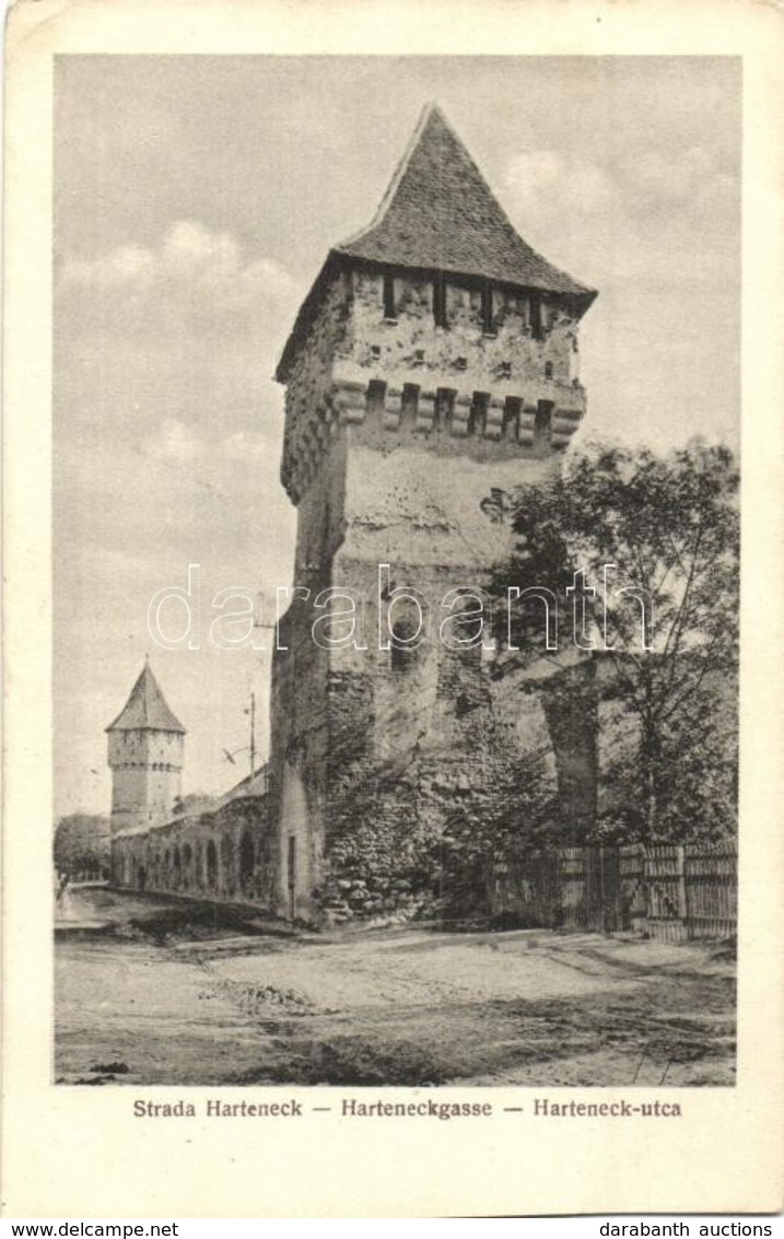 ** T2/T3 Nagyszeben, Hermannstadt, Sibiu; Harteneck Utca és Torony / Street View With Towers  (EK) - Ohne Zuordnung