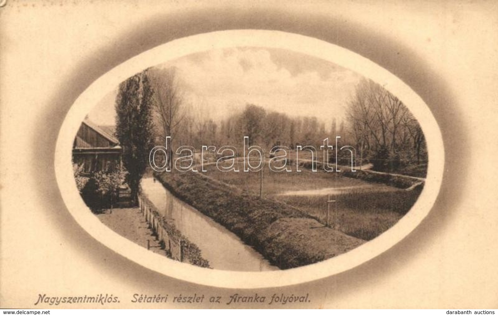 T2/T3 Nagyszentmiklós, Sannicolau Mare; Sétatér, Aranaka Folyó, Wiener Nathan 559. / Promenade, River Bank - Ohne Zuordnung