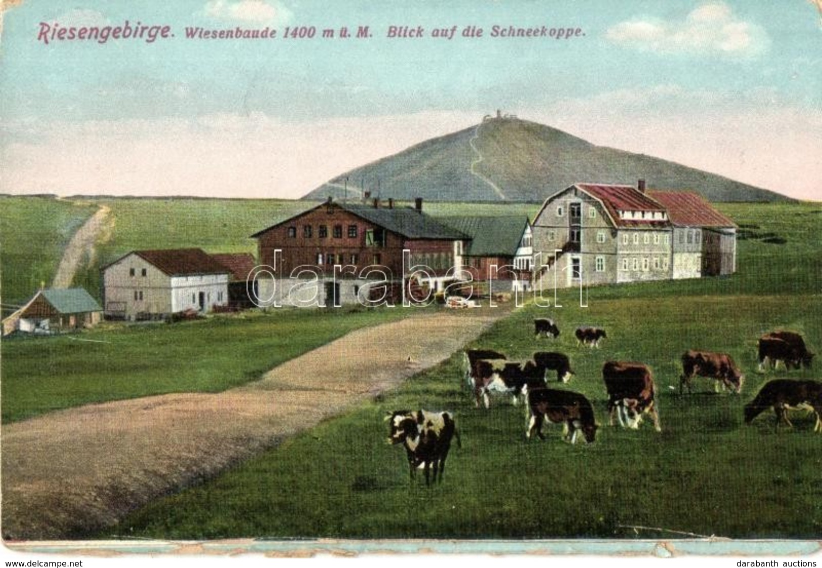 ** T4 Lucní Bouda, Wiesenbaude; Riesengebirge, Schneekoppe (r) - Ohne Zuordnung