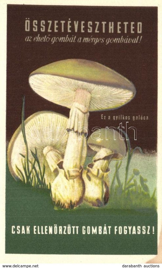 ** 3 Db F?leg Modern Gomba Motívumlap / 3 Mainly Modern Mushroom Motive Cards - Zonder Classificatie