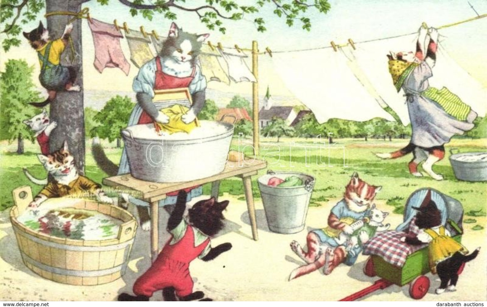 ** T2 Cat Women Washing Clothes. Max Künzli No. 4732. - Modern Postcard - Zonder Classificatie