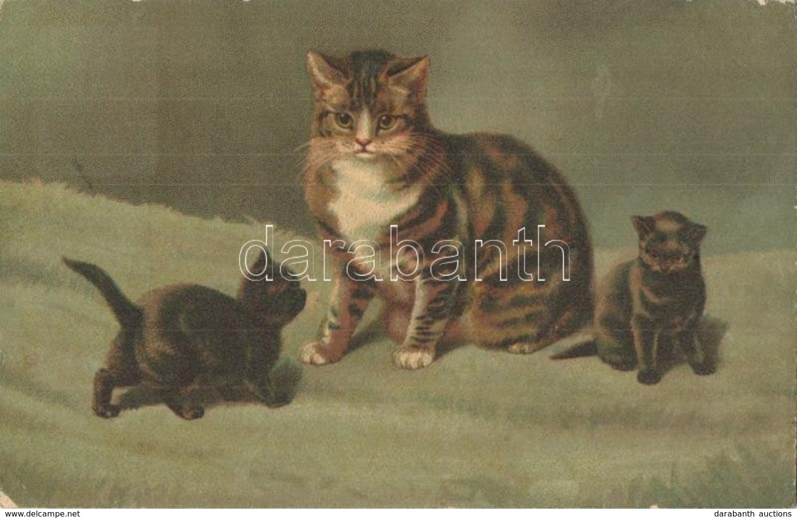 T2/T3 Cats. Wenau-Pastell No. 938.  Litho - Ohne Zuordnung