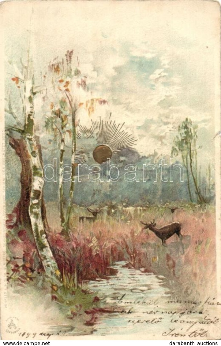 T4 1899 Deer In The Marsh, Winkler & Schorn Sonnenschein-Postkarte Serie VI., Golden Decoration Litho (b) - Ohne Zuordnung