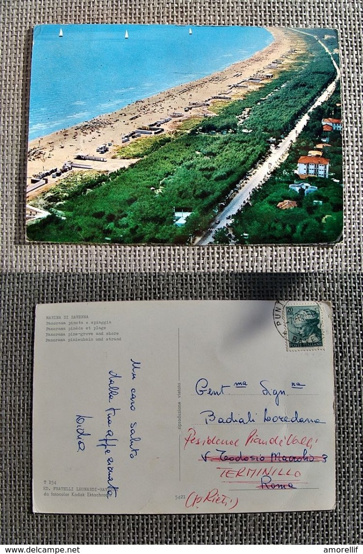 (FG.H55) MARINA DI RAVENNA - PANORAMA PINETA E SPIAGGIA - Ravenna