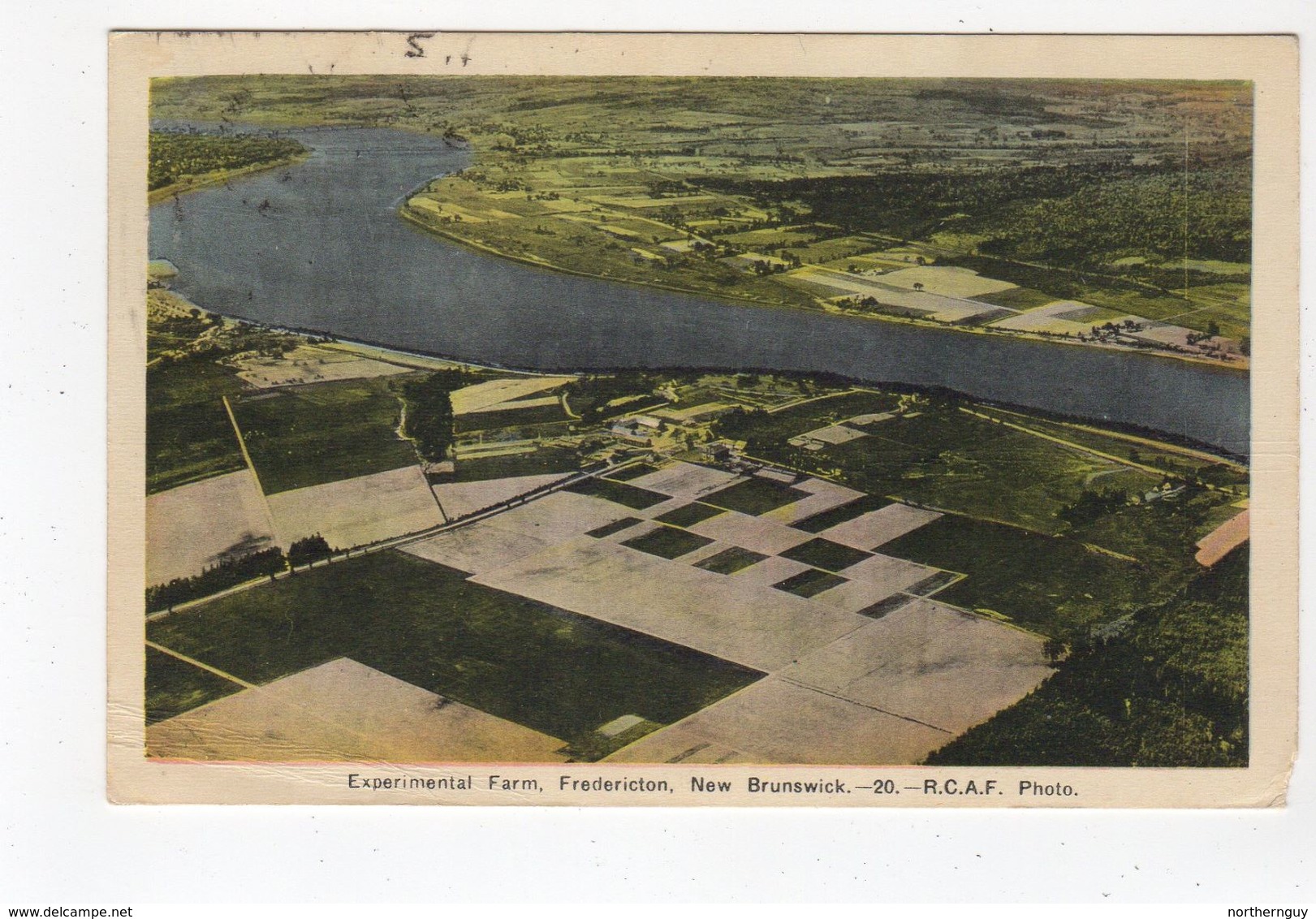 FREDERICTON, New Brunswick, Canada, BEV Experimental Farm, 1946 WB PECO Postcard, RCAF, S/R Ludlow NB - Fredericton