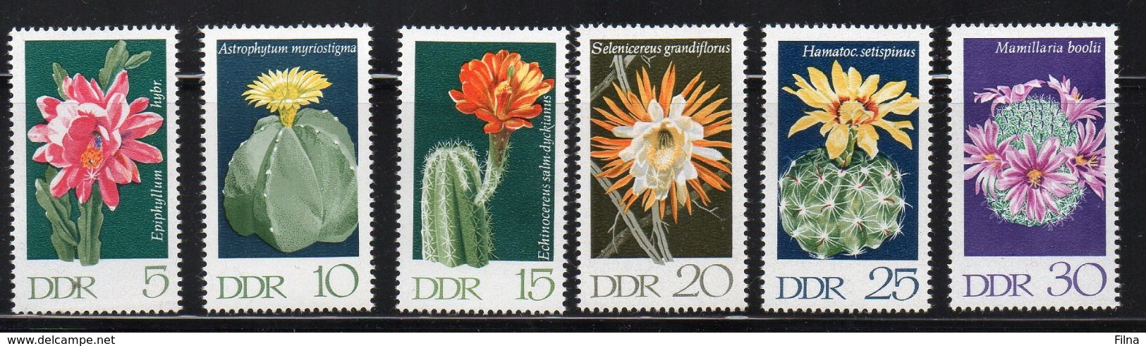 GERMANIA REPUBBLICA DEMOCRATICA DDR - 1970 - FLORA - FIORI CACTUS- SERIE COMPLETA -GOMMA INTEGRA** - Nuovi