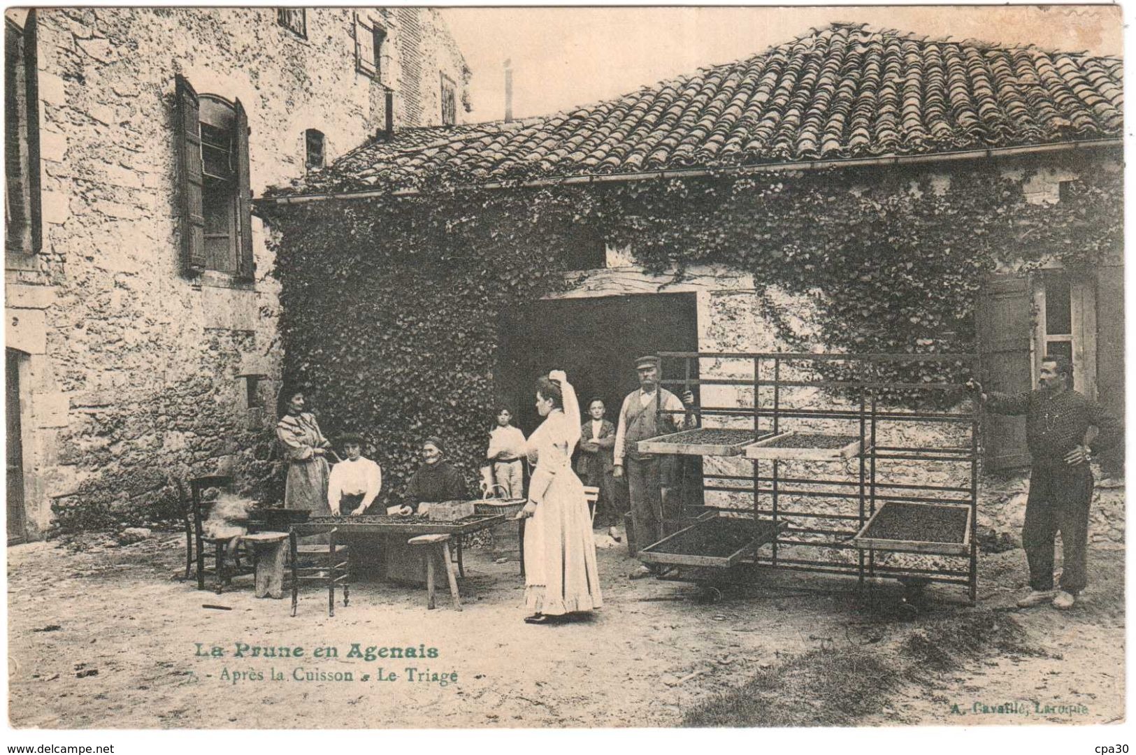 CPA LOT-et-GARONNE.LA PRUNE EN AGENAIS.APRES LA CUISSON LE TRIAGE - Autres & Non Classés