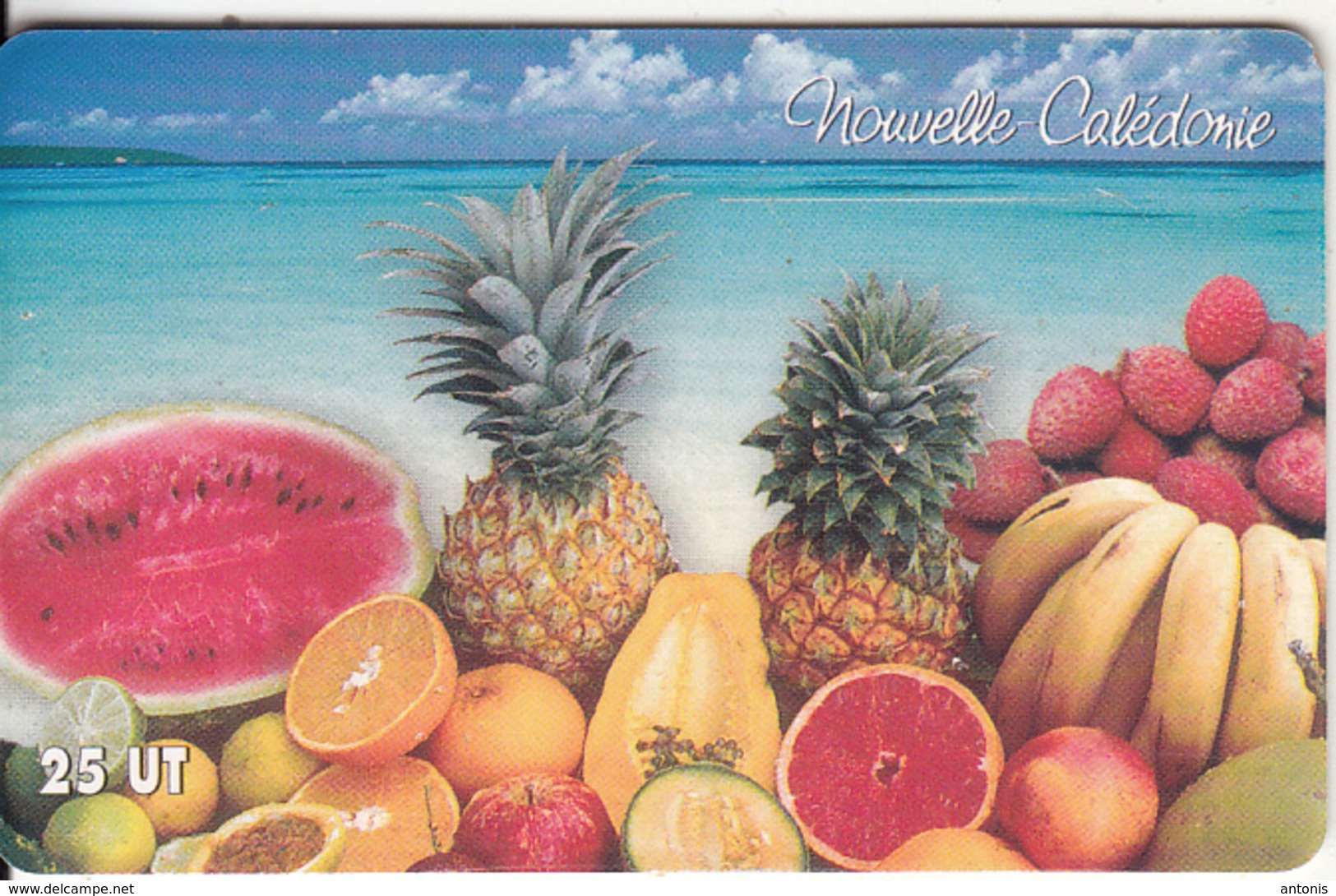 NEW CALEDONIA(chip) - Exotic Fruits, Tirage 50000, Exp.date 31/12/07, Used - Nouvelle-Calédonie