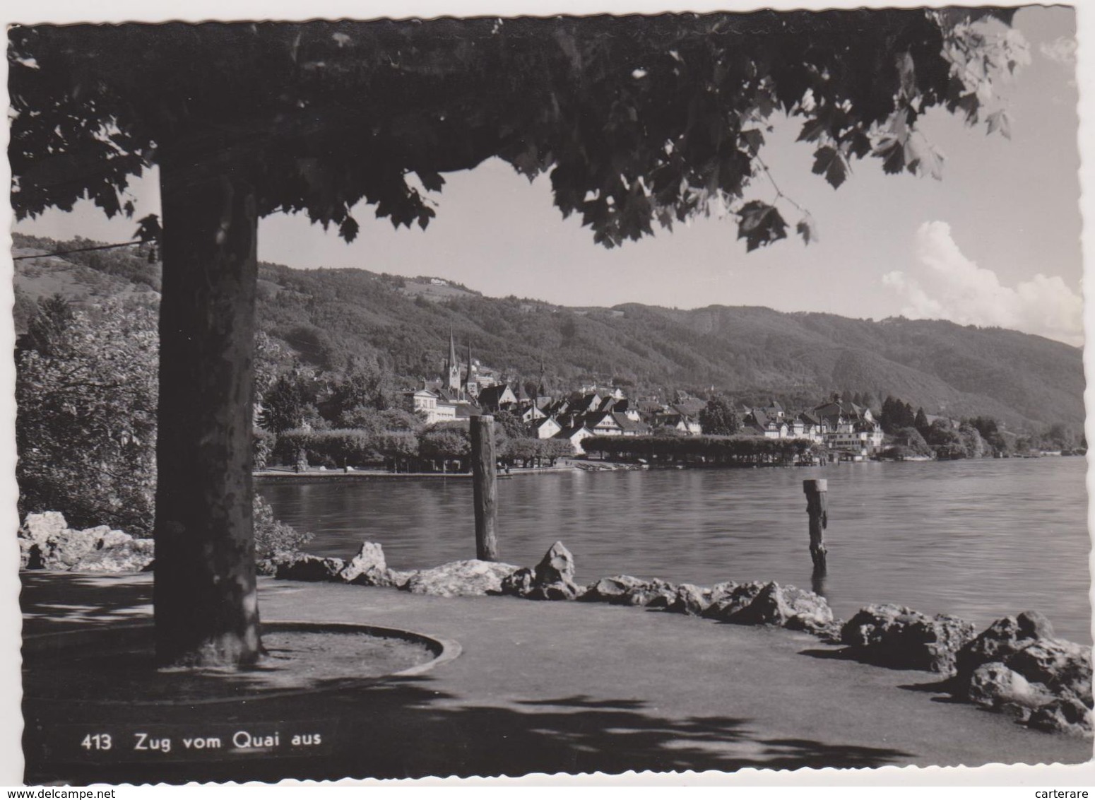 SUISSE,HELVETIA,SWISS,SWI TZERLAND,SVIZZERA,SCHWEIZ ,ZOUG,ZUG,QUAI,ARBRE,BORD DE L 'EAU - Zoug