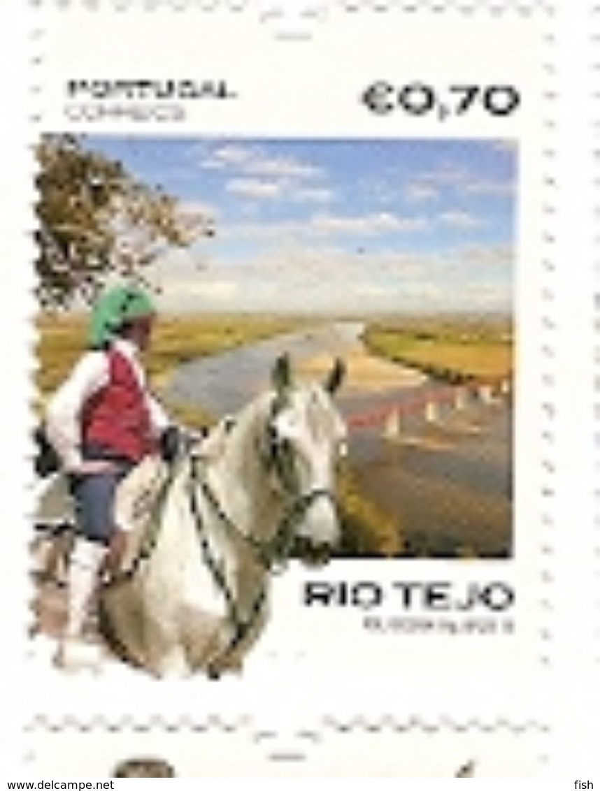 Portugal ** & Lusitan Horse And The Tagus River 2018 (650) - Chevaux