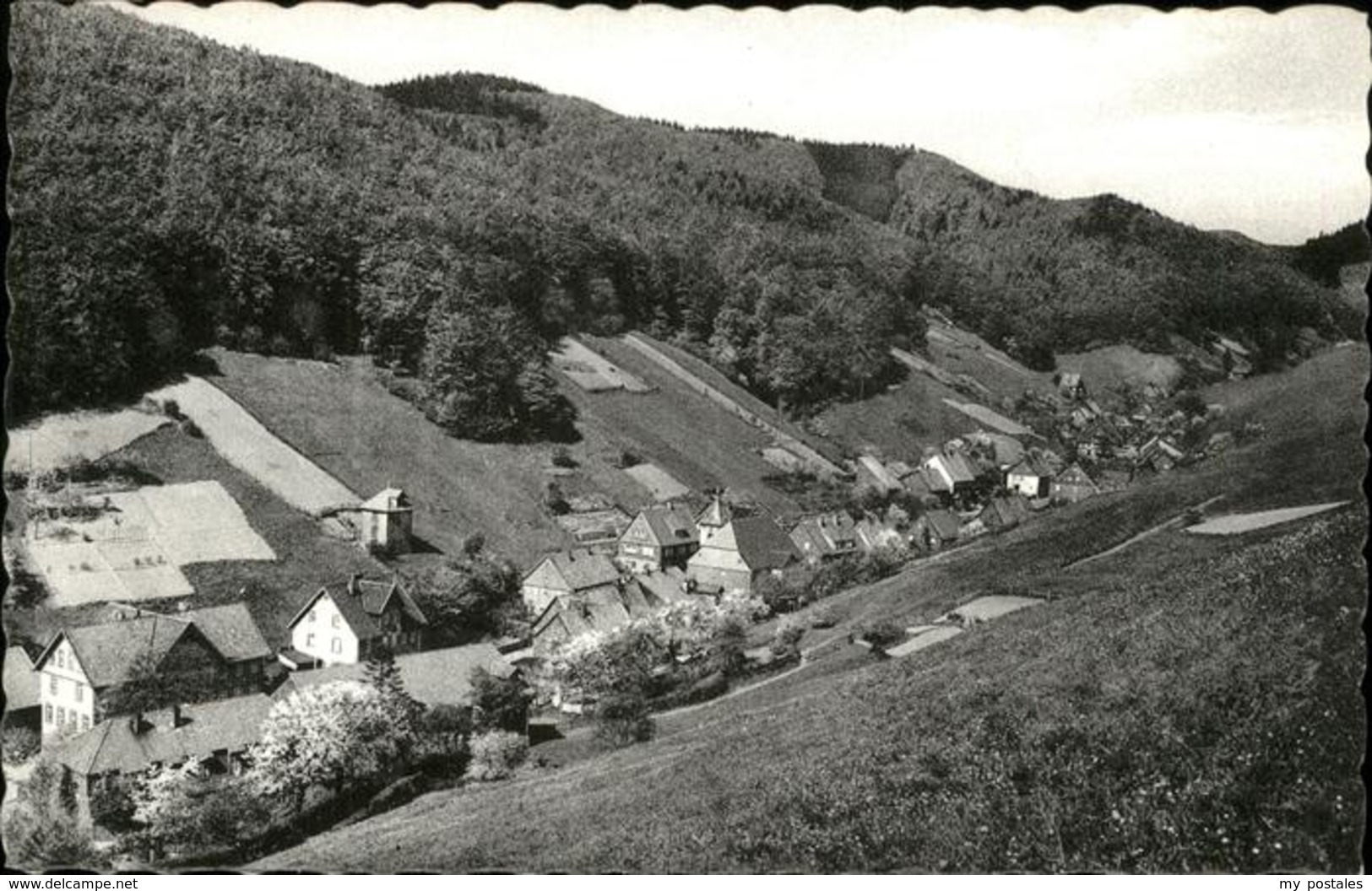 41228273 Lerbach Harz  Osterode Am Harz - Osterode