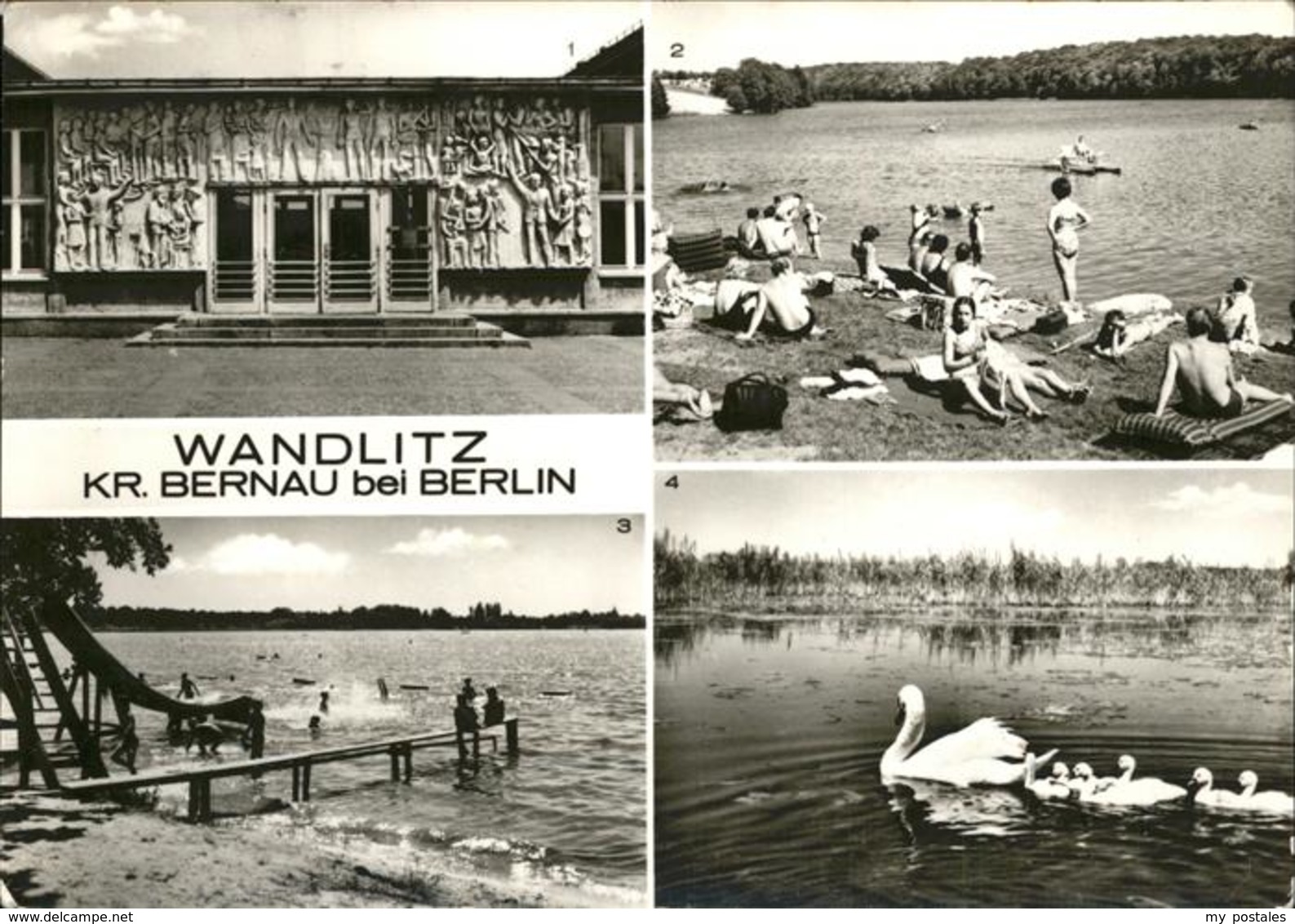 41234726 Wandlitz Liepsnitzsee Wandlitzsee Strandbad Schwanenfamilie Wandlitz - Wandlitz