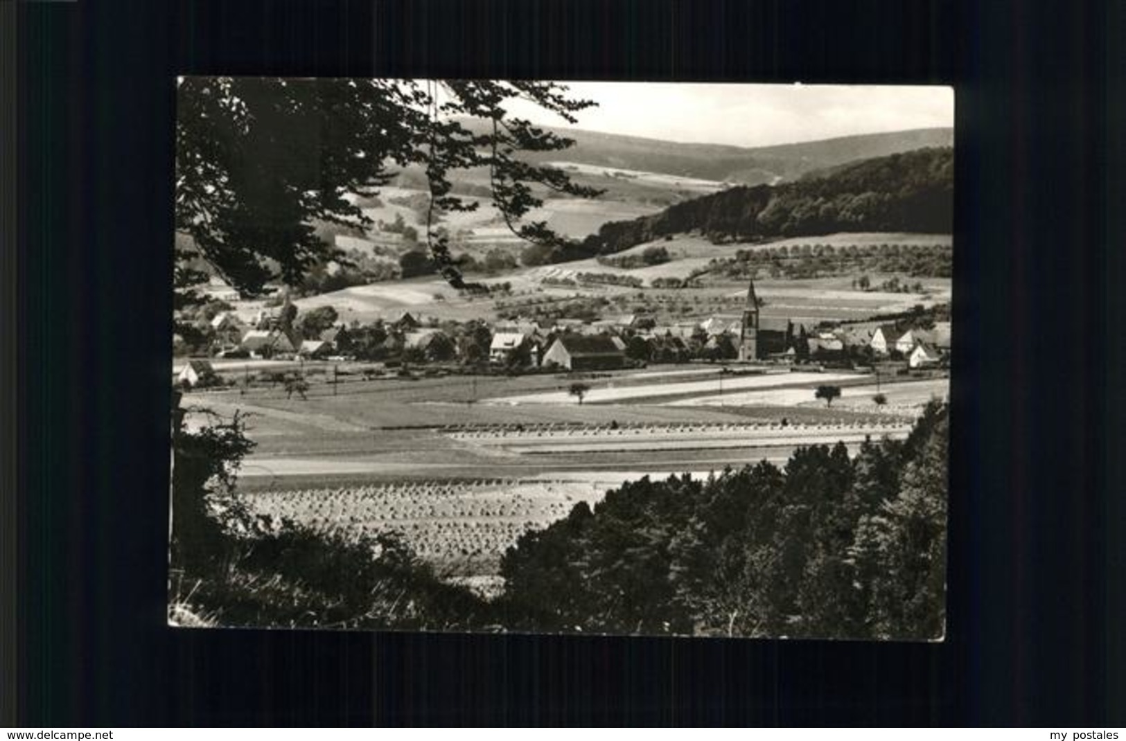 41239439 Alhausen Westfalen Kirche Bad Driburg - Bad Driburg