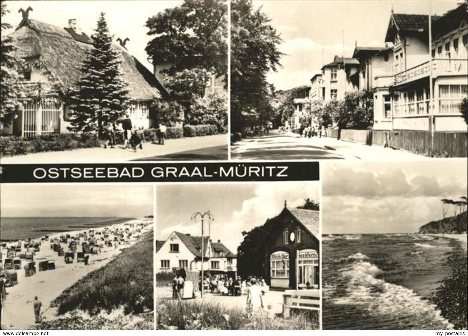 41236815 Graal-Mueritz Ostseebad Strand  Seeheilbad Graal-Mueritz - Graal-Müritz