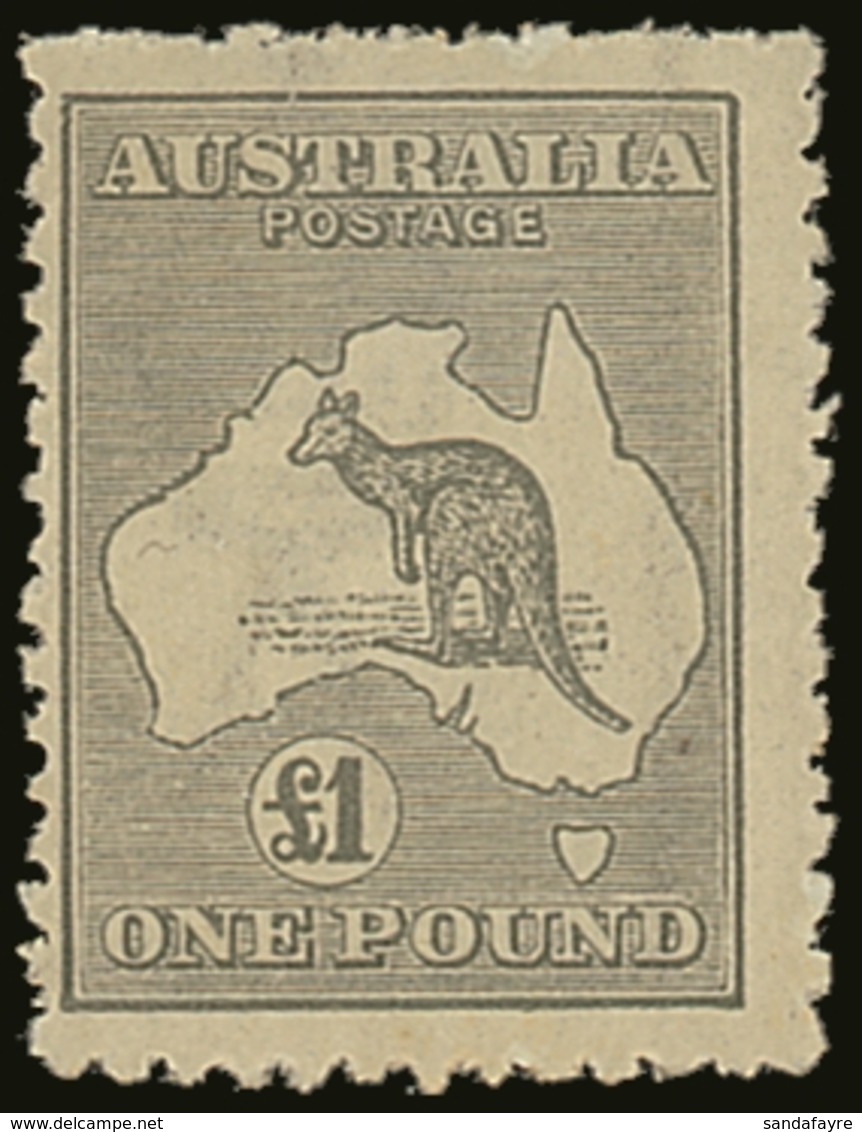 1923-24  £1 Grey Kangaroo, SG 75, Very Lightly Hinged Mint (near NH), Centered To Left, Fresh Colour. For More Images, P - Altri & Non Classificati