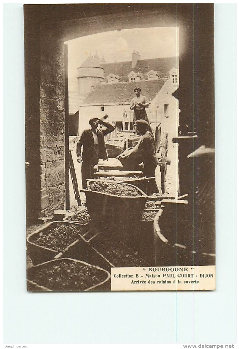 Dijon : 9 CPA Maison Paul Court, Viticulteur à Dijon. TBE.  18 Scans.