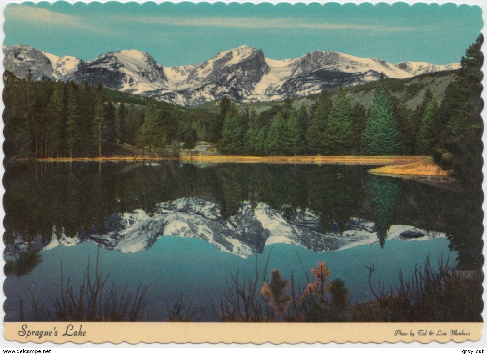 Sprague's Lake, Altitude 8,700 Ft, Colorado, Unused Postcard [21029] - Rocky Mountains