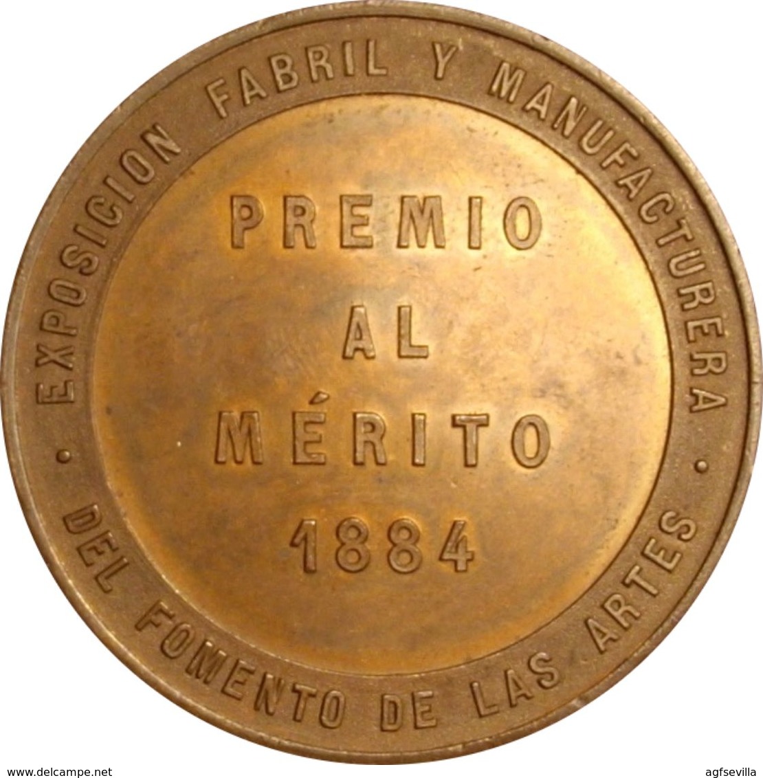 ESPAÑA. ALFONSO XII. EXPOSICIÓN FOMENTO DE LAS ARTES. MADRID 1.884. ESPAGNE. SPAIN MEDAL - Professionnels/De Société