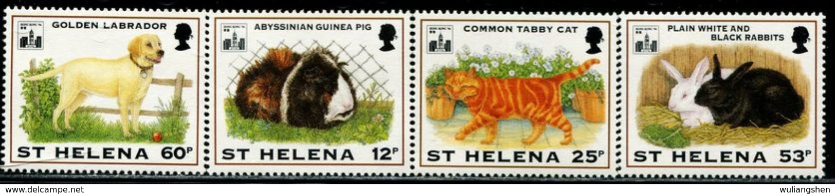 BA1558 St. Helena 1994 Puppy Kitten And Rabbit 4V MNH - Saint Helena Island